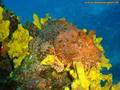 foto de buceo