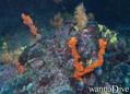 foto de buceo