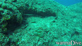 foto de buceo