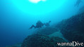 foto de buceo