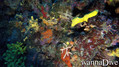 foto de buceo