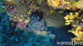 foto de buceo