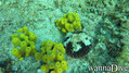 foto de buceo