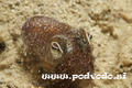 foto de buceo