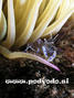 foto de buceo
