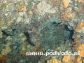foto de buceo