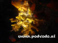 foto de buceo