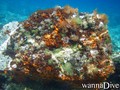 foto de buceo