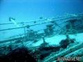 foto de buceo