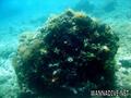 foto de buceo