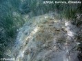 foto de buceo