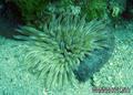 foto de buceo