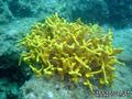 foto de buceo