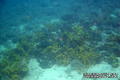 foto de buceo
