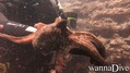 foto de buceo