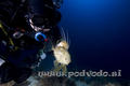 foto de buceo