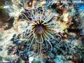 foto de buceo