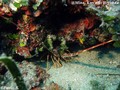 foto de buceo