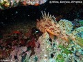 foto de buceo