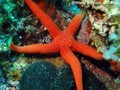 foto de buceo