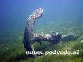 foto de buceo