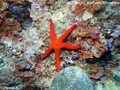 foto de buceo