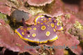 foto de buceo