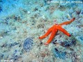foto de buceo