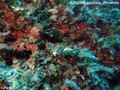 foto de buceo