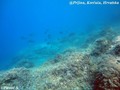 foto de buceo