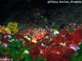 foto de buceo