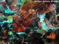 foto de buceo