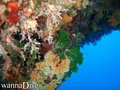 foto de buceo