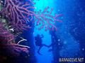 foto de buceo