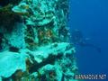 foto de buceo