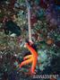 foto de buceo