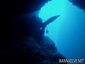 foto de buceo