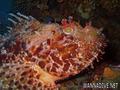 foto de buceo