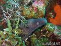 foto de buceo