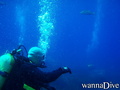 foto de buceo