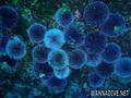 foto de buceo