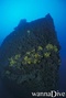 foto de buceo