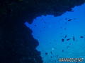 foto de buceo