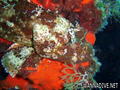foto de buceo