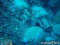 foto de buceo