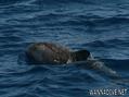 foto de buceo