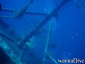 foto de buceo