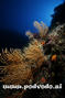 foto de buceo