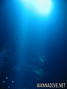 foto de buceo