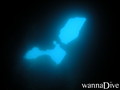 foto de buceo
